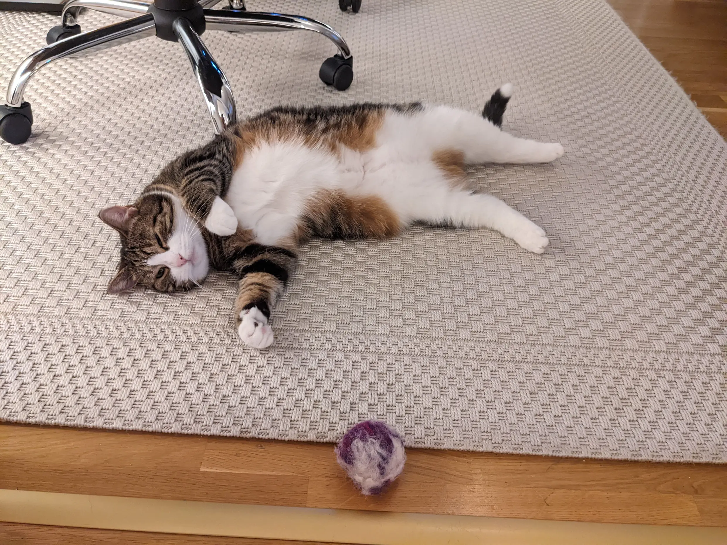 Mipsson using the force