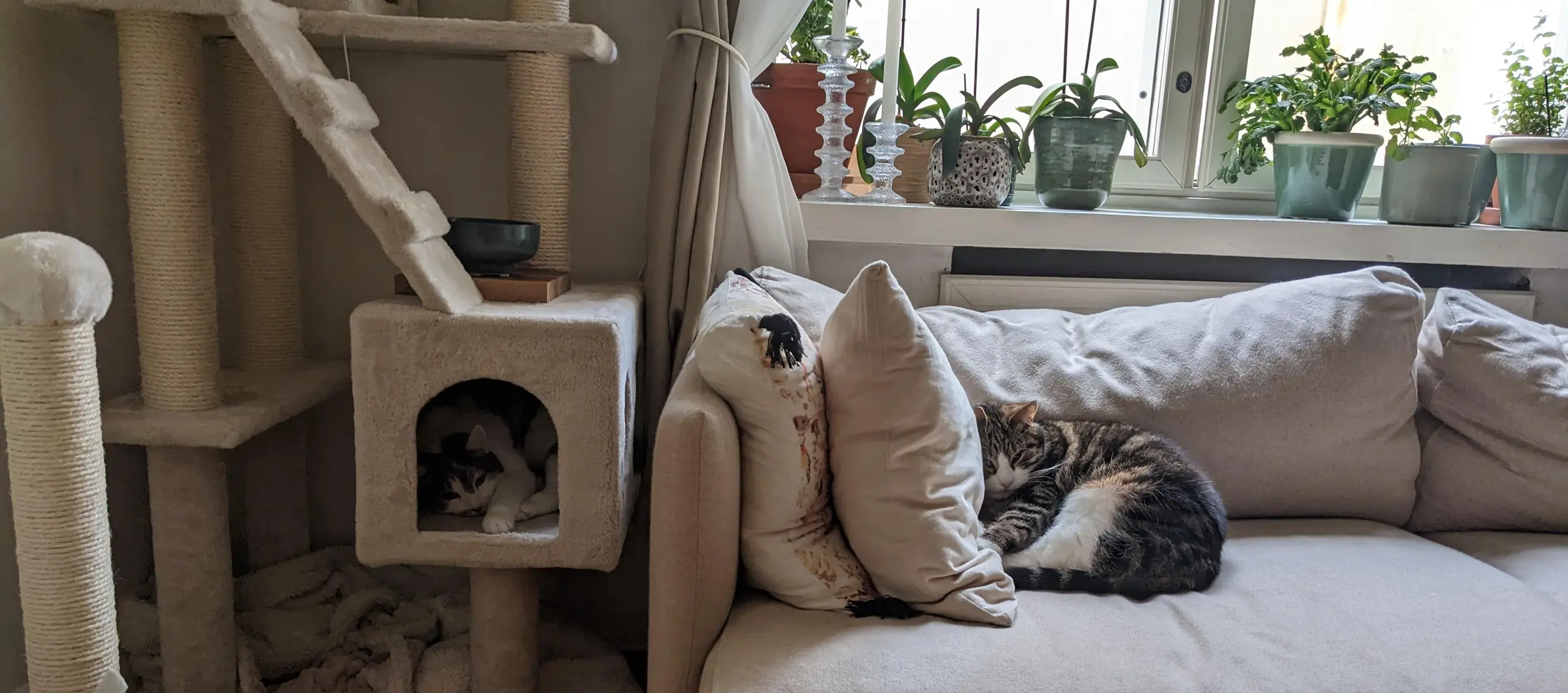 Mipsson and PamPam chillin'